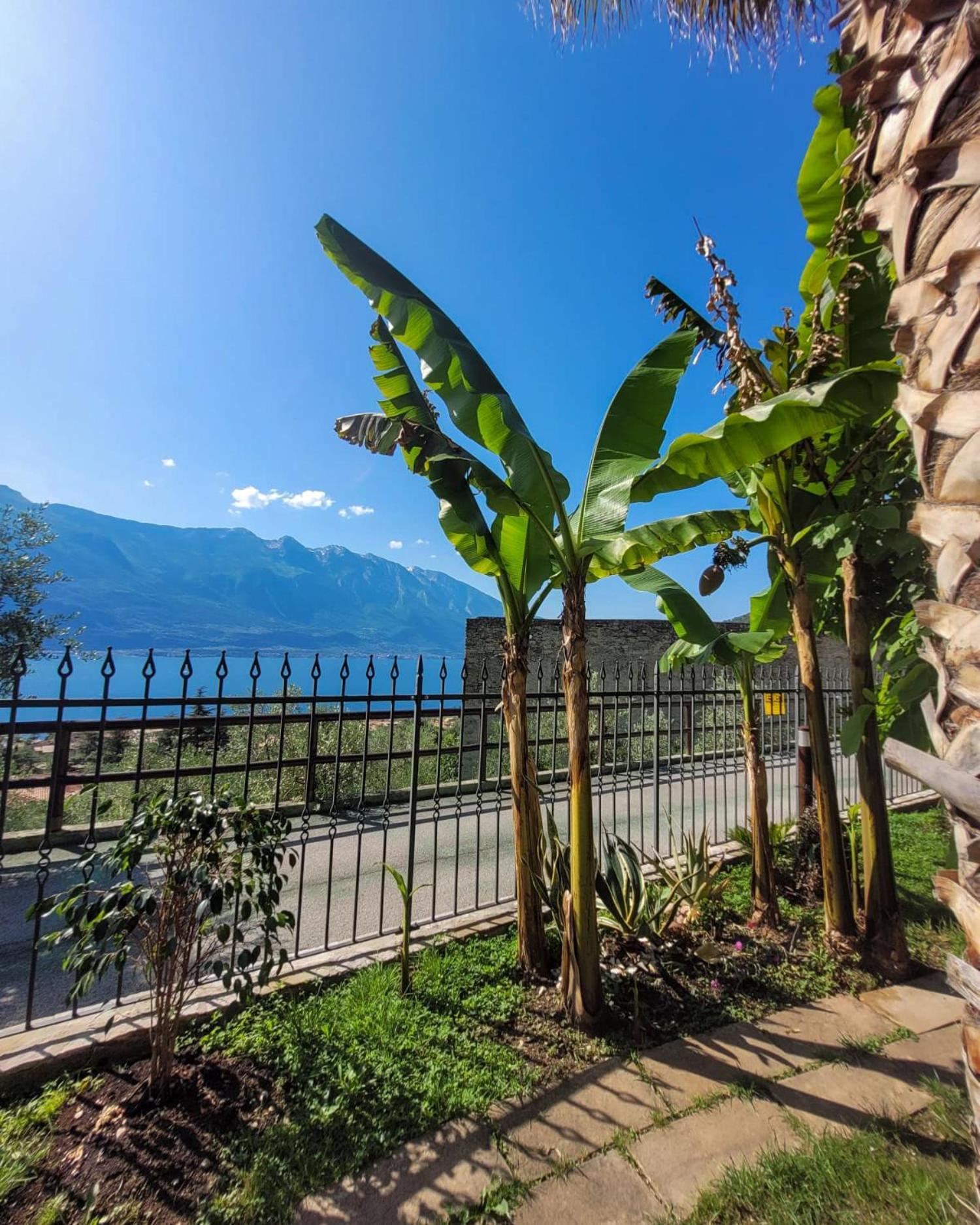 Villa Fior Di Loto Limone sul Garda Exterior photo